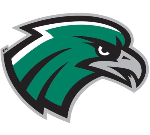 Northeastern State RiverHawks logo iron on transfers for T-shirts